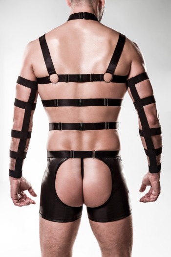 5-teilges Harness-Set 20050 - L/XL