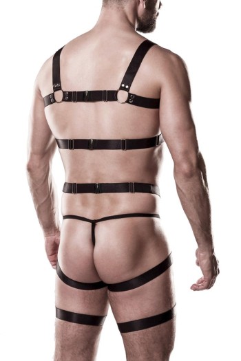 3-teilges Harness-Set 20054 - L/XL