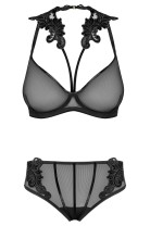 171818 Set out of plunge underwired bra with embroidery and brief - S (BH 70C/75B & Panty 36)