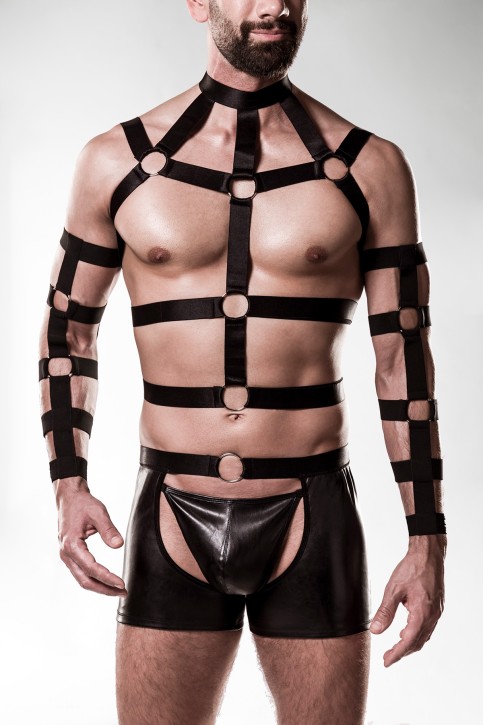 5-teilges Harness-Set 20050 - L/XL