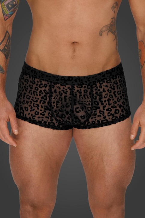 Leopard Flock Shorts H072 - S